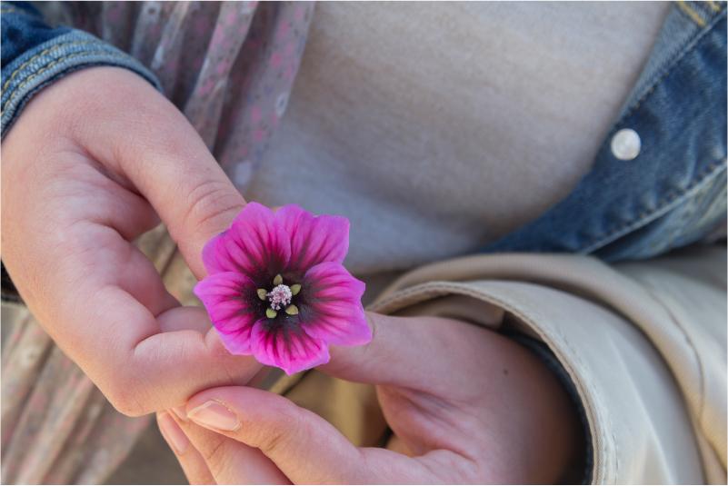 Supporting Your Fertility Journey