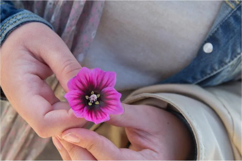 Supporting your fertility journey
